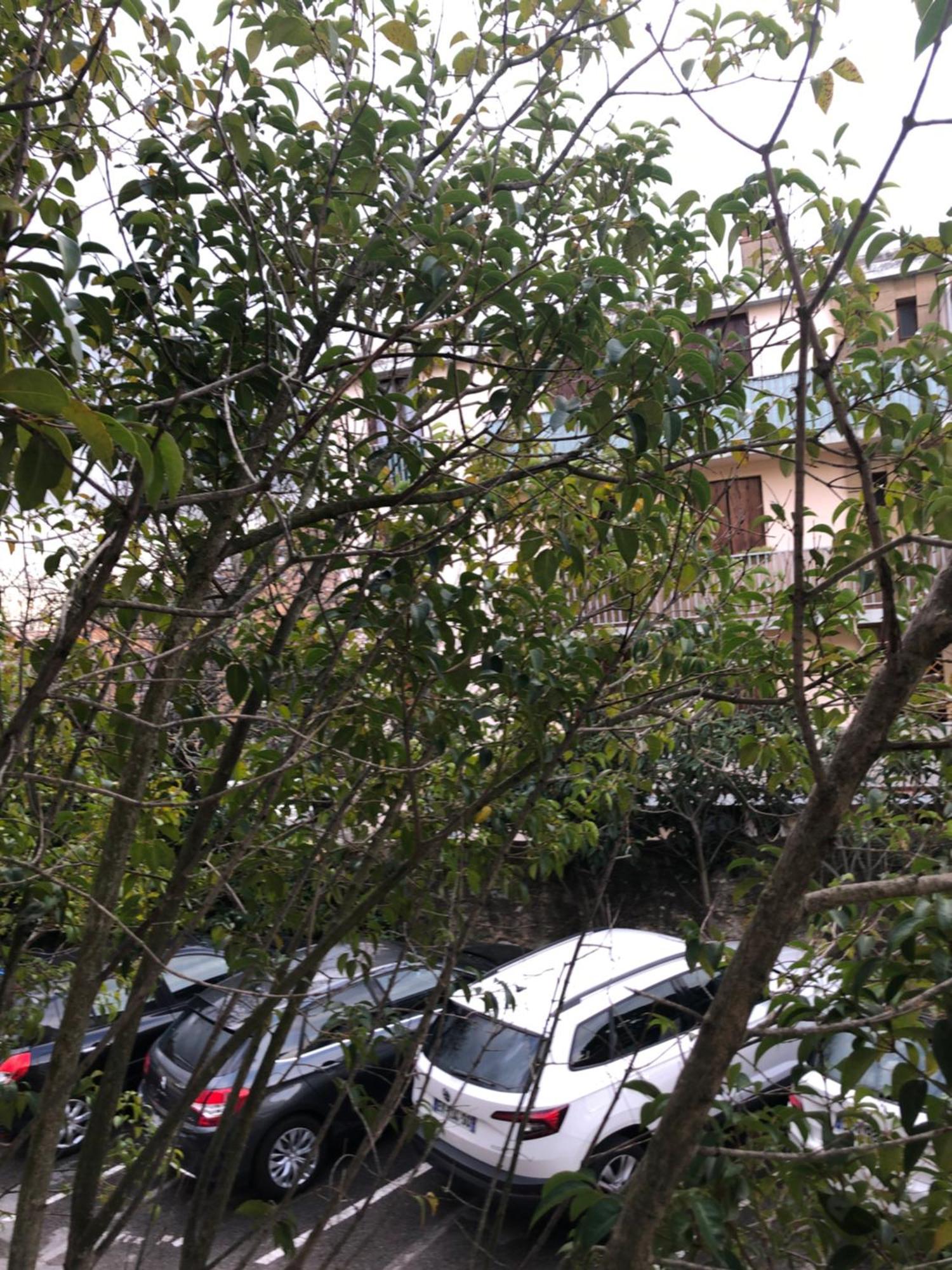 Logement Promenade De La Torse A Aix-En-Provence Ngoại thất bức ảnh